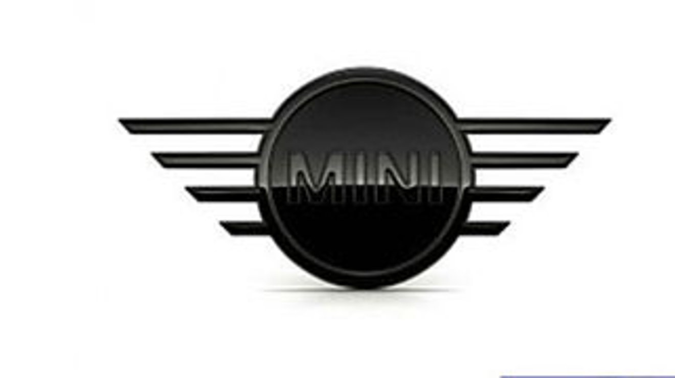 Unser Serviceangebot: MINI Emblem hinten