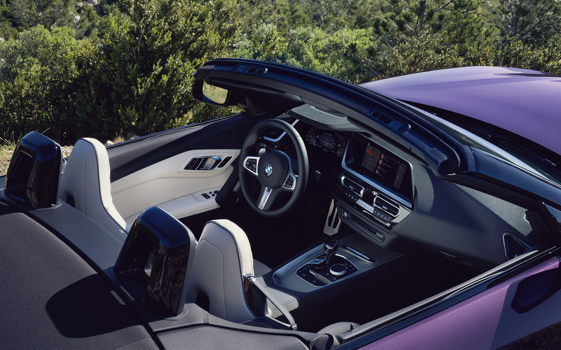 BMW Z4 Cockpit.