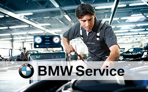 Entdecken Sie die Serviceleistungen von BMW i