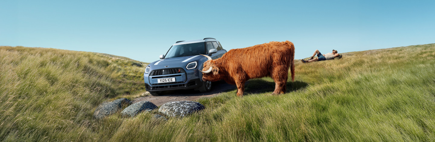 ein weites, grünes Gelände mit sanften Hügeln und hohem Gras. Im Vordergrund steht ein Auto, ein Mini SUV, das auf einem unbefestigten Weg fährt. Direkt neben dem Auto ist ein Highland-Rind, das braunes, langes Fell hat. Auf der rechten Seite des Bildes liegt ein Mensch auf dem Boden und scheint sich zu entspannen. Der Himmel ist klar und blau, was eine ruhige und friedliche Atmosphäre erzeugt.  Die Szene vermittelt ein Gefühl von Natur und Freiheit, wobei das Auto als Symbol für Abenteuer und Erkundung dient.